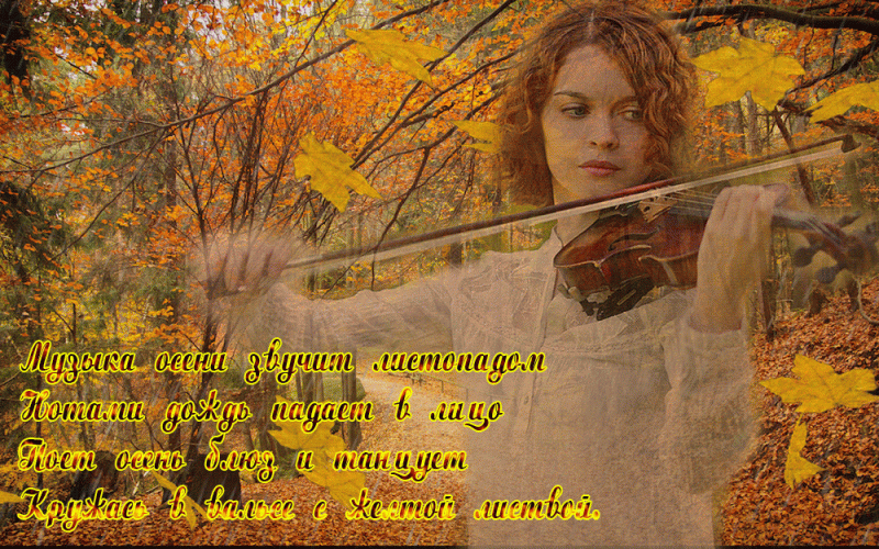 Заиграла осень песнь свою на скрипке.