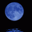 Moon Blue (Синяя Луна)