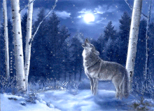 Одинокий волк - бродяга
